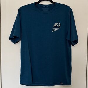 Patagonia Men's Teal Graphic Tee